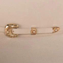 American Hats Silver Belly 1000X American Mink 4-1/4in. Brim Felt Cowboy Hat -HORSE TACK Store 1000XSBS42 4