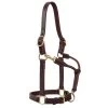 Weaver Leather Small Horse 1in Oiled Track Halter