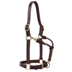 Weaver Leather Small Horse 1in Oiled Track Halter