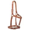Weaver Leather 1in Russett Harness Leather Riveted Halter -HORSE TACK Store 136857 default l