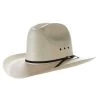 Resistol 10X Quarter Horse 60 4in. Brim Straw Cowboy Hat -HORSE TACK Store 137591 default l