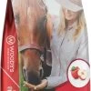Woodys Apple Smart Treats 1 Woodys Apple Smart Treats -HORSE TACK Store 139243 default l