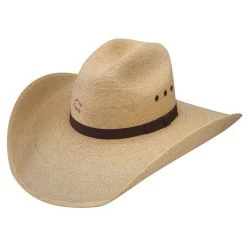 Charlie 1 Horse Maverick 4 1/2in. Palm Leaf Hat