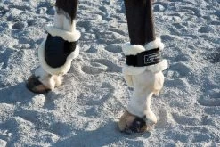 Partrade Trading Corporation Lami-Cell Comfort Fetlock Boots