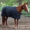 Professionals Choice Black 1200D Horse Blanket -HORSE TACK Store 147094 default l