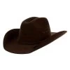 M&F Twister Chocolate Youth Felt Hat Precreased -HORSE TACK Store 148582 default l