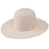 Resistol 100X Pure 4 /4in. Brim Open Crown Felt Cowboy Hat -HORSE TACK Store 151899 default l