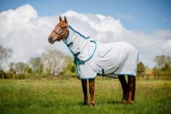 Horseware Ireland Horeseware Amigo Aussie All-Rounder