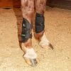 Classic Equine Black MagNTX Magnetic Tendon Wrap -HORSE TACK Store 158614 default l