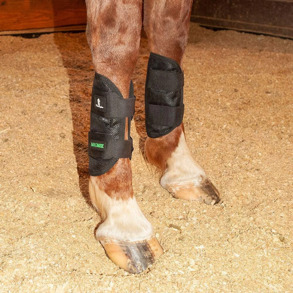 Classic Equine Black MagNTX Magnetic Tendon Wrap 3 Classic Equine Black MagNTX Magnetic Tendon Wrap