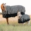 Professionals Choice Cheetah Pony Equisential 600D Winter Blanket 1 Professionals Choice Cheetah Pony Equisential 600D Winter Blanket -HORSE TACK Store 159821 default l