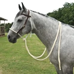 Mustang Working Hackamore