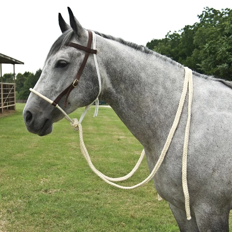 Mustang Working Hackamore 3 Mustang Working Hackamore