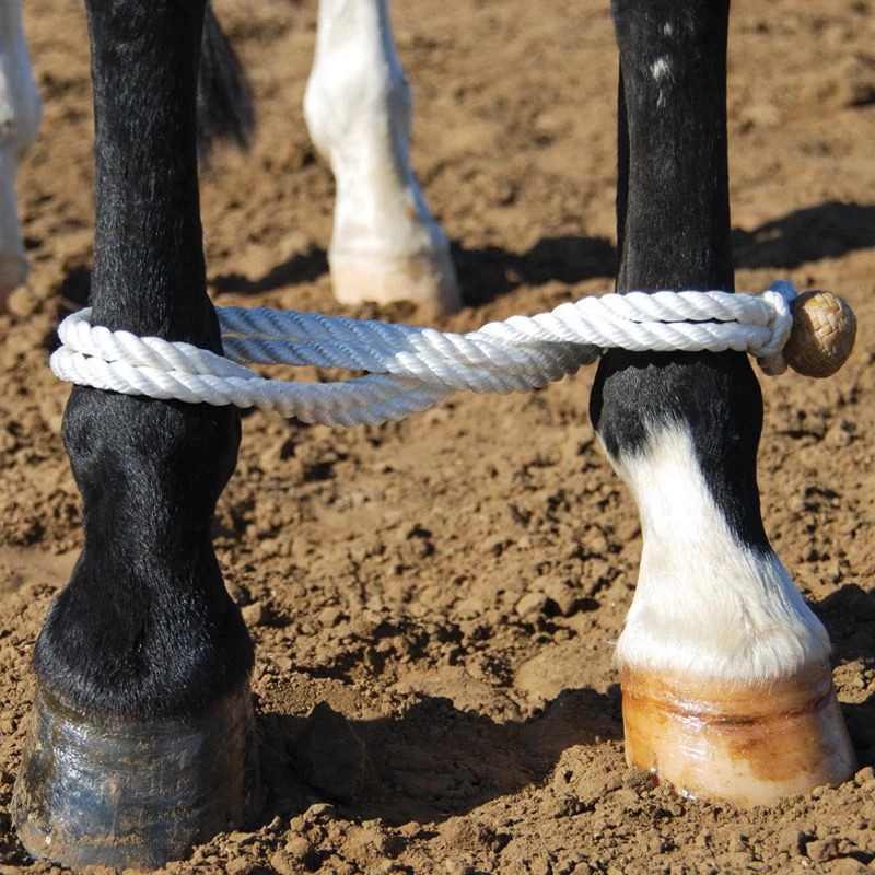 Martin Saddlery Rope Hobble With Rawhide Button 3 Martin Saddlery Rope Hobble With Rawhide Button