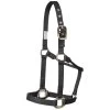 Mustang Eyelet Nylon Halter