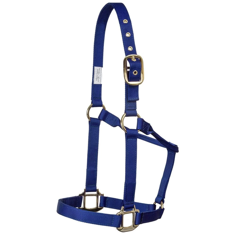 Mustang Eyelet Nylon Halter 7 Mustang Eyelet Nylon Halter - Image 5