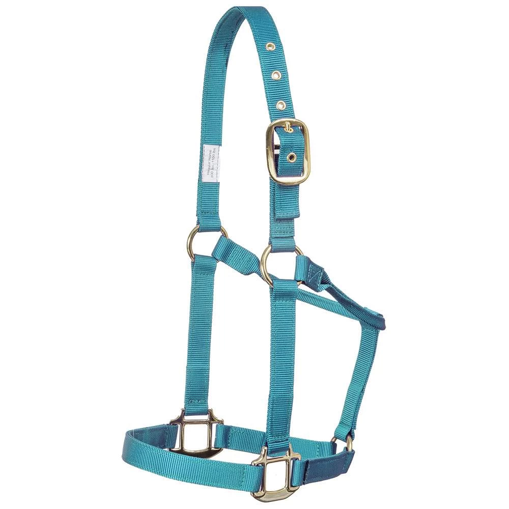 Mustang Eyelet Nylon Halter 9 Mustang Eyelet Nylon Halter - Image 7