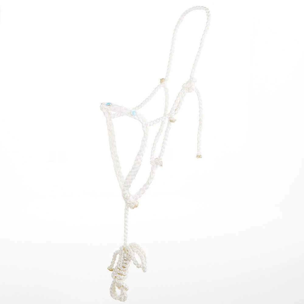 Steadfast Silver Designs Jarett Freeman/ Mule Tape Halter With Genuine Turquoise Stones 3 Steadfast Silver Designs Jarett Freeman/ Mule Tape Halter With Genuine Turquoise Stones