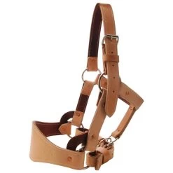 Leather Bronc Halter