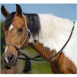 Mustang Co. Deluxe Bitless Bridle