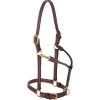 Weaver Leather Double Buckle Crown Cob Halter -HORSE TACK Store 33747 default l