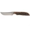 Anza Medium Clip Point Knife W/Amber Bone Handle -HORSE TACK Store 41287 default l