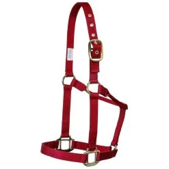 Mustang Eyelet Nylon Halter 11 Mustang Eyelet Nylon Halter -HORSE TACK Store 85362 fromShopify 2