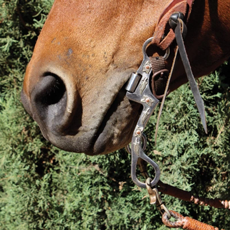 Professionals Choice Bob Avila Seven Shank Professional's Choice Correction Bit 4 Professionals Choice Bob Avila Seven Shank Professional's Choice Correction Bit - Image 2