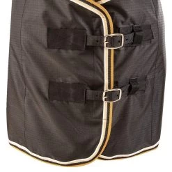 Classic Open Front Stable Sheet -HORSE TACK Store CENS BLK GLD