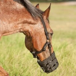 Cashel Company Grazing Muzzle Halter -HORSE TACK Store GMH 4
