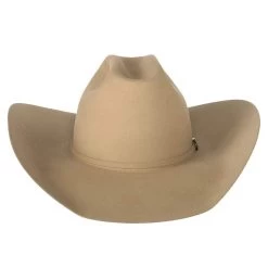 Rodeo King 10X Buckskin 4 1/2in. Brim Self Band Felt Cowboy Hat -HORSE TACK Store RK404 12