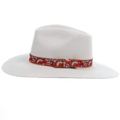 M&F Girls Pinch Front Silver Belly Fashion Hat 3 1/2` Brim -HORSE TACK Store T78900277 3