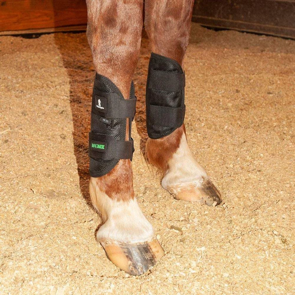 Classic Equine Black MagNTX Magnetic Tendon Wrap 4 Classic Equine Black MagNTX Magnetic Tendon Wrap - Image 2