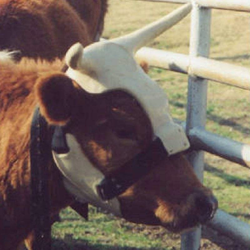 NRS Strap On Muley Horns 5 NRS Strap On Muley Horns - Image 3