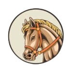 HORSE TACK Store