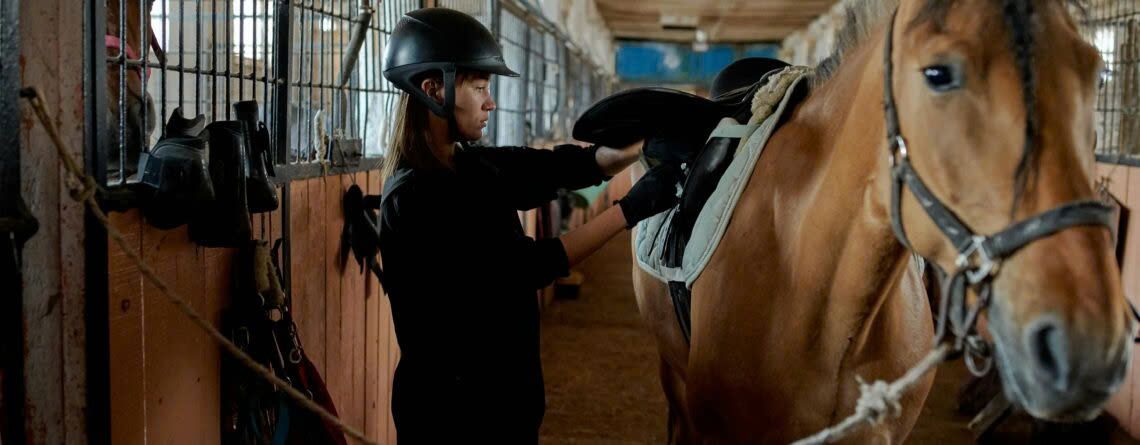 HORSE TACK Store 9 HORSE TACK Store -HORSE TACK Store z6380210975526 4a451040433e805c597c33aef356db44