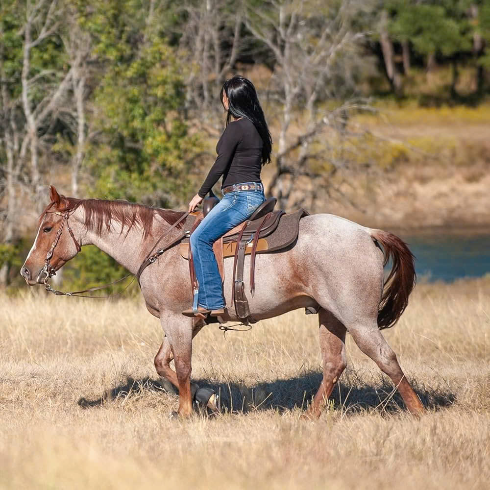 HORSE TACK Store 25 HORSE TACK Store -HORSE TACK Store z6380381388703 1e530474836ec4ffb0260e64c666714b